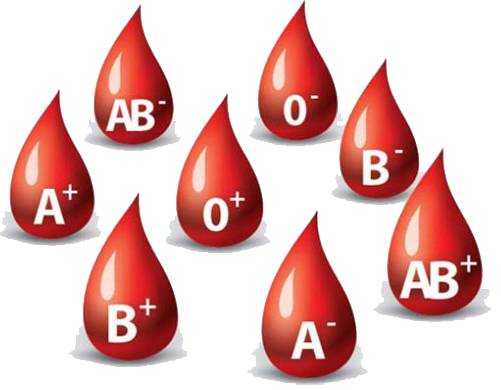 What are the process subjected to donated blood?